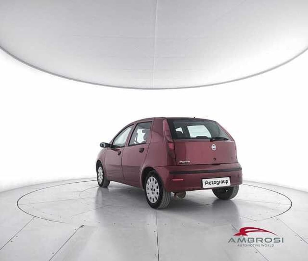 Fiat Punto usata a Viterbo (4)