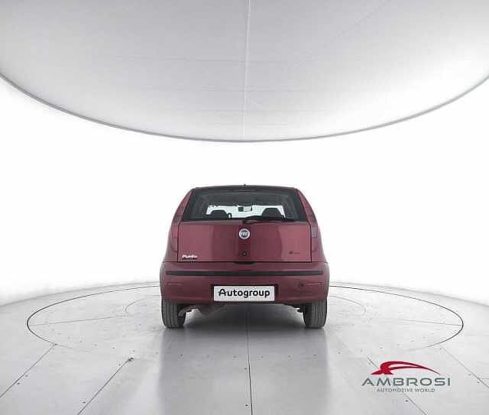Fiat Punto usata a Viterbo (6)