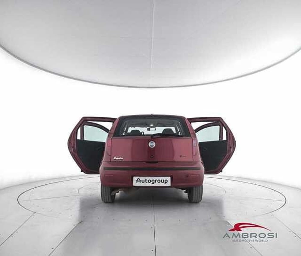 Fiat Punto usata a Viterbo (7)