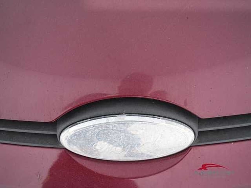 Ford Fiesta usata a Viterbo (20)