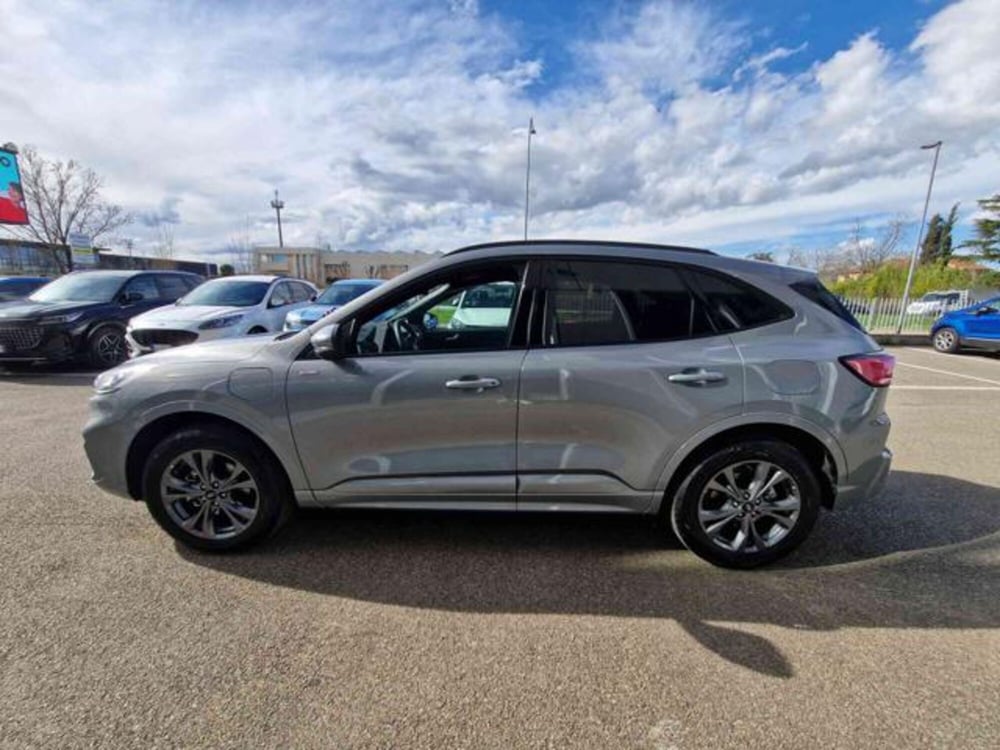 Ford Kuga usata a Bologna (7)