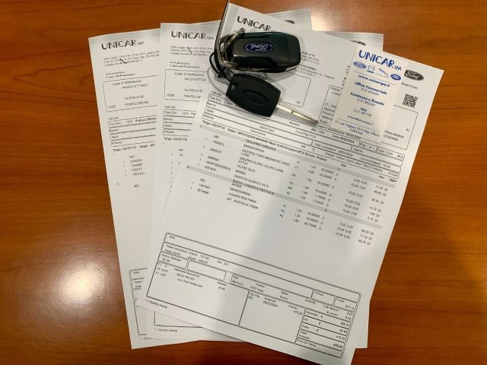 Ford EcoSport usata a Cuneo (16)