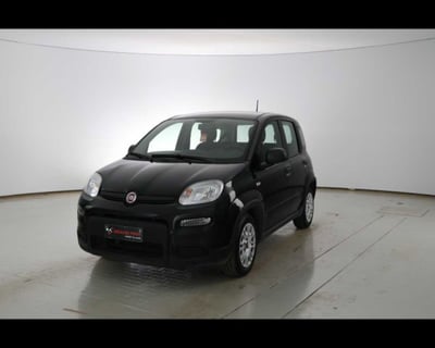 Fiat Panda 1.2 EasyPower del 2024 usata a Castenaso