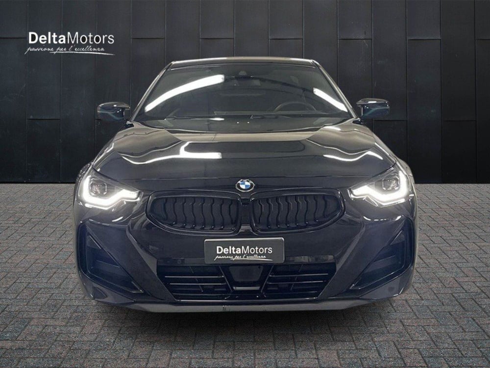 BMW Serie 2 Coupé usata a Macerata (2)