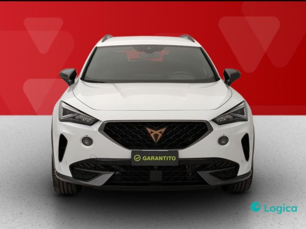 Cupra Formentor usata a Torino (8)