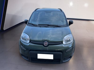 Fiat Panda 1.0 firefly hybrid s&amp;s 70cv 5p.ti del 2021 usata a Torino