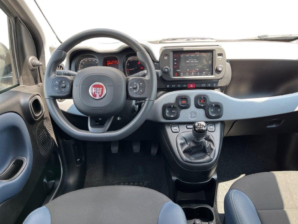 Fiat Panda Cross usata a Torino (11)