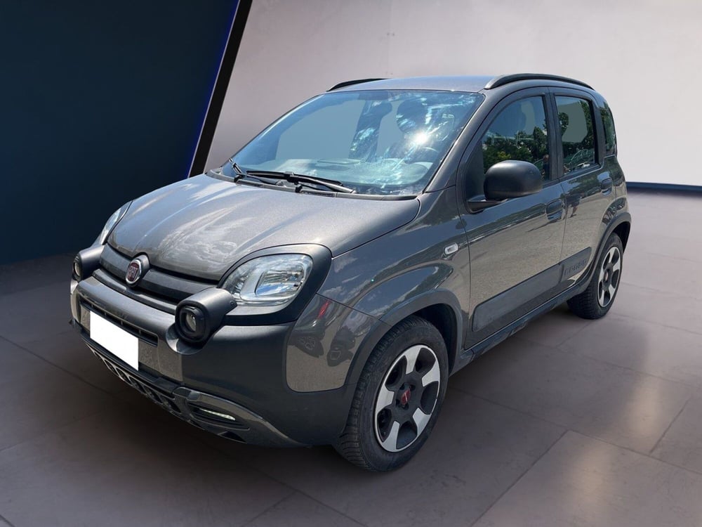 Fiat Panda Cross usata a Torino (2)
