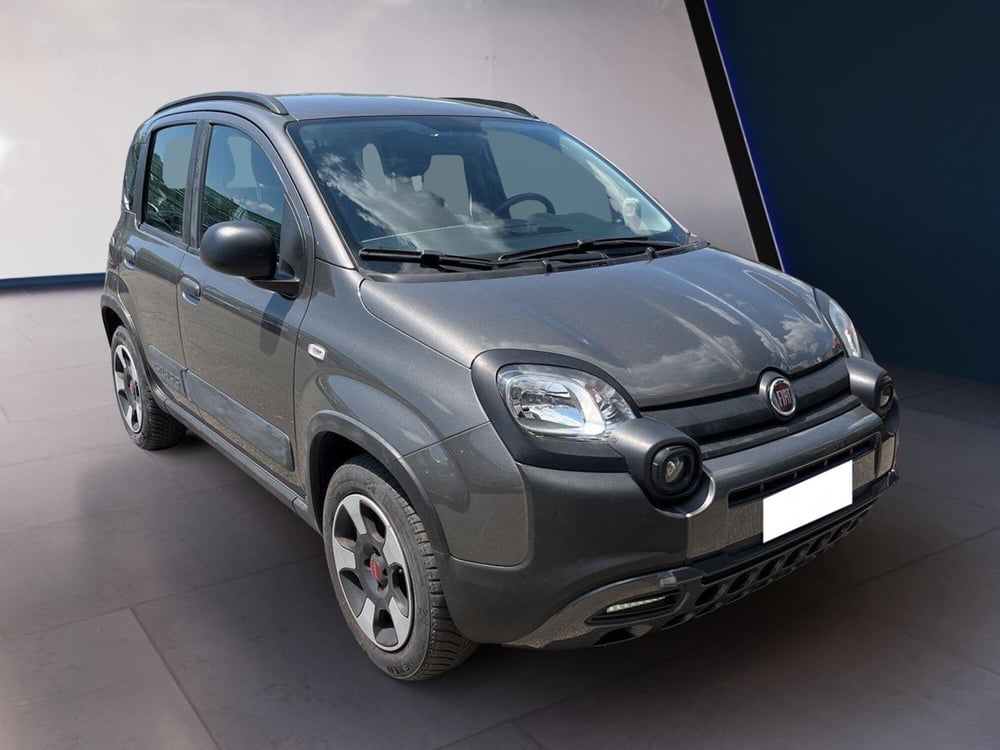 Fiat Panda Cross usata a Torino (3)