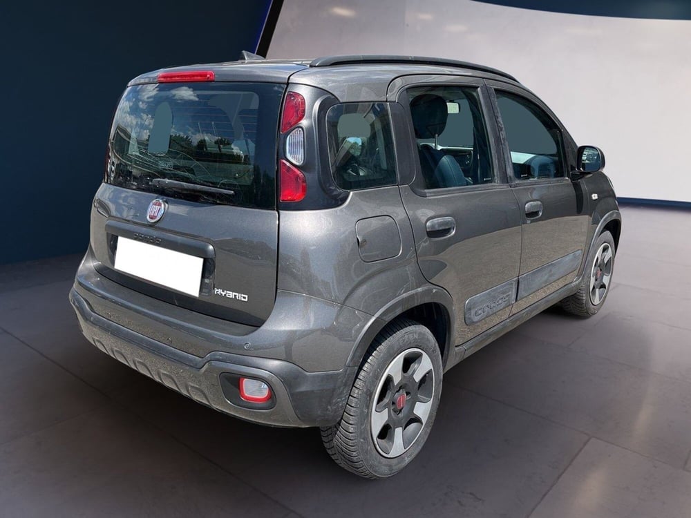 Fiat Panda Cross usata a Torino (4)