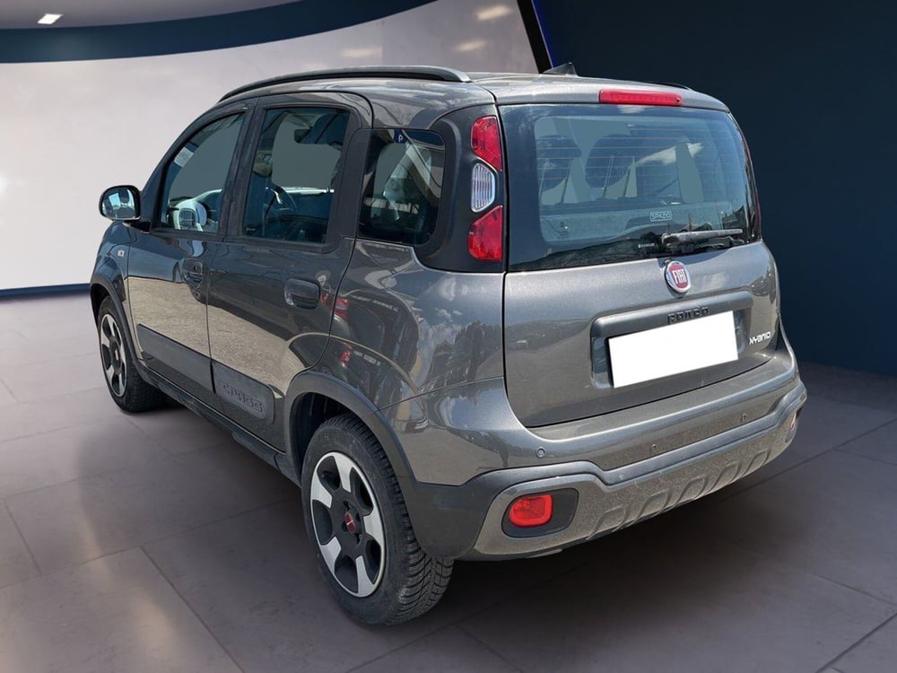 Fiat Panda Cross usata a Torino (5)