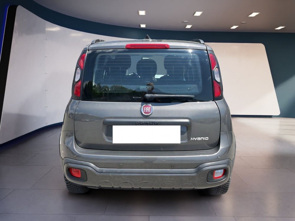 Fiat Panda Cross usata a Torino (6)