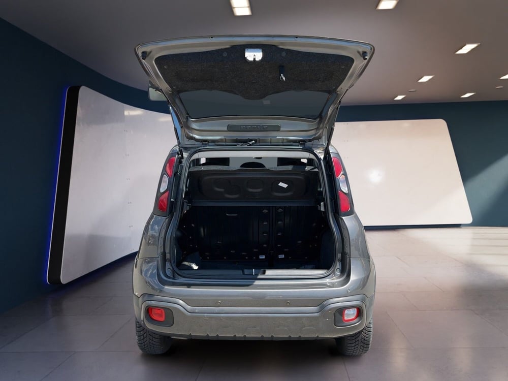 Fiat Panda Cross usata a Torino (7)