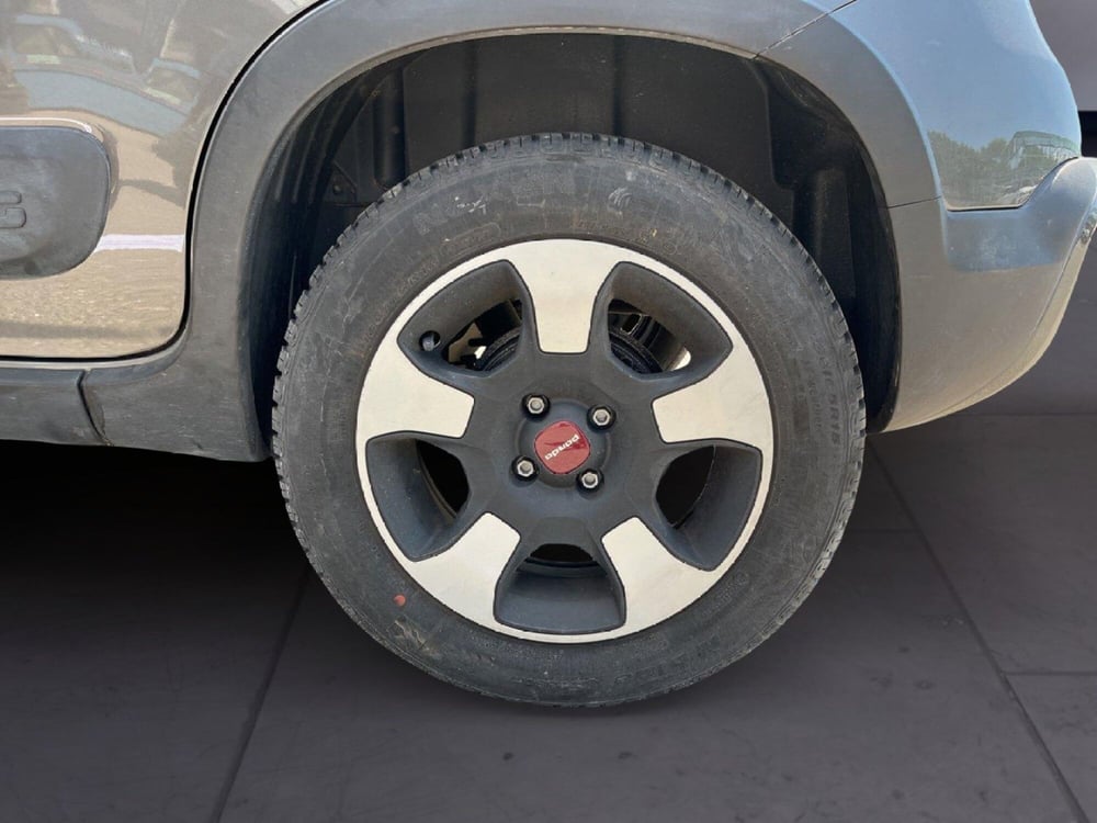 Fiat Panda Cross usata a Torino (8)