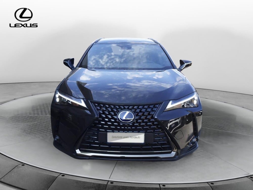 Lexus UX usata a Treviso (2)