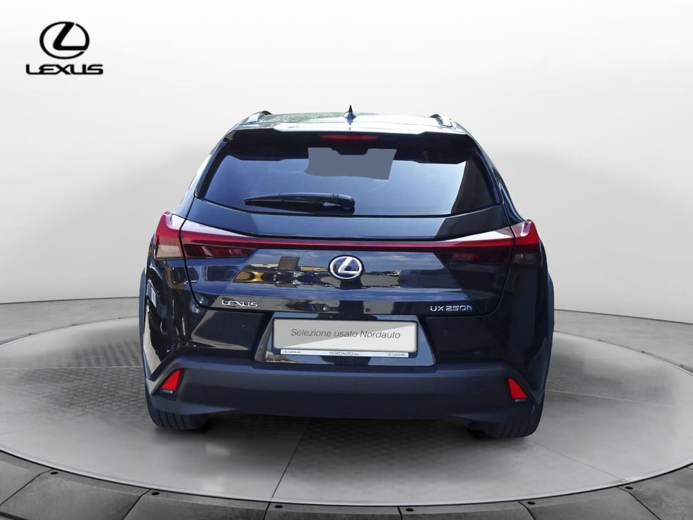 Lexus UX usata a Treviso (6)