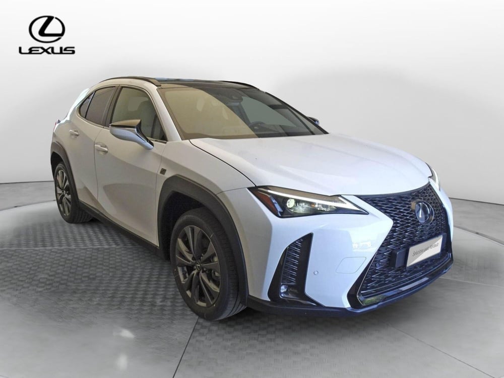 Lexus UX nuova a Treviso (3)