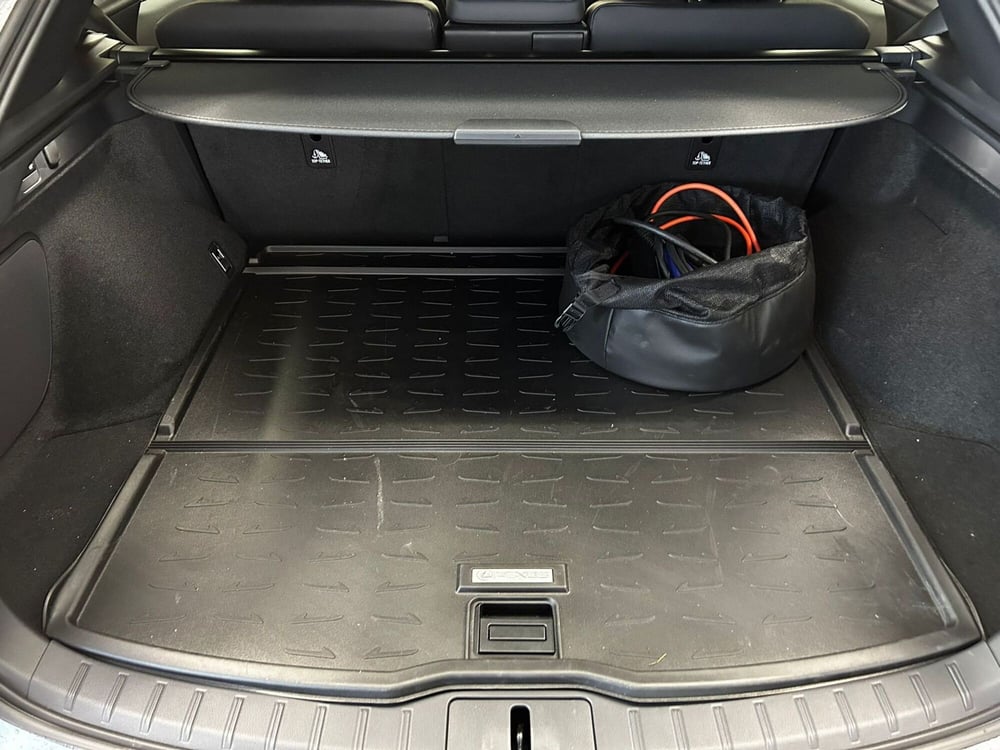 Lexus RX usata a Cremona (7)