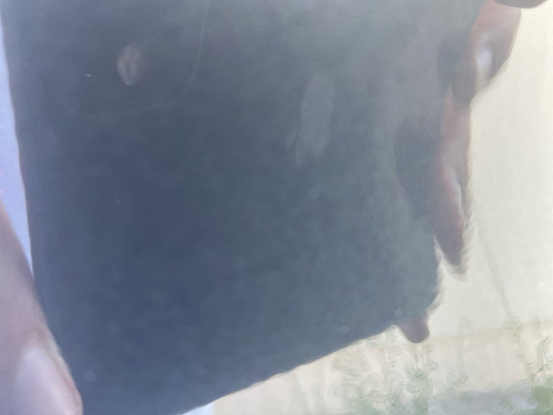 Hyundai Kona usata a Chieti (13)