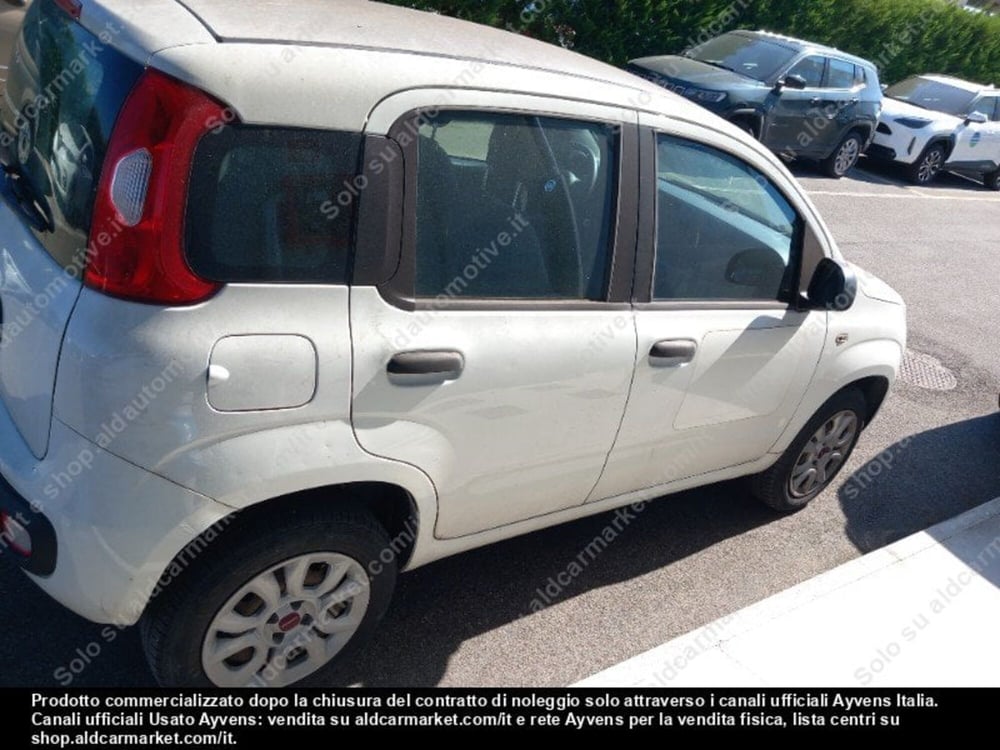Fiat Panda usata a Modena (5)