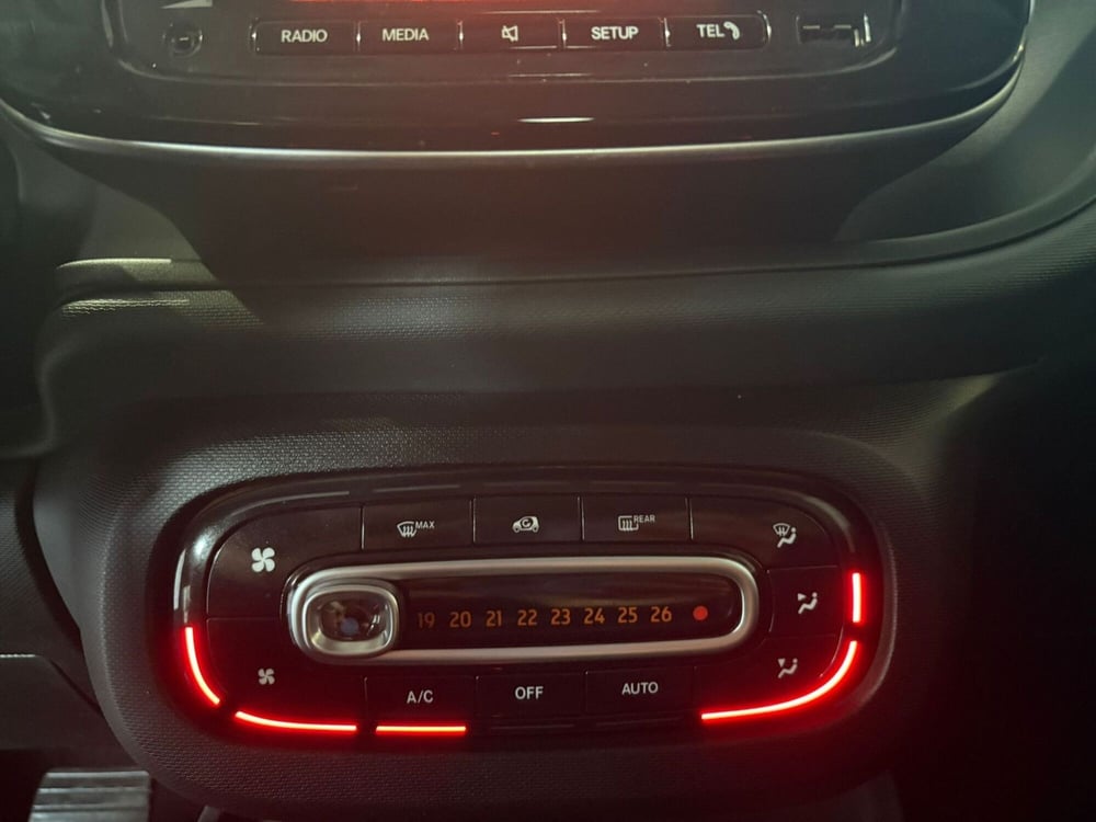 smart forfour usata a Monza e Brianza (20)