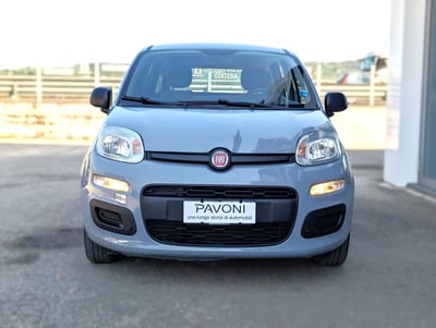 Fiat Panda 1.0 FireFly S&amp;S Hybrid City Cross del 2022 usata a Pescara