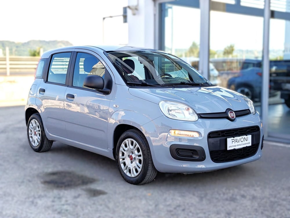 Fiat Panda usata a Pescara (2)