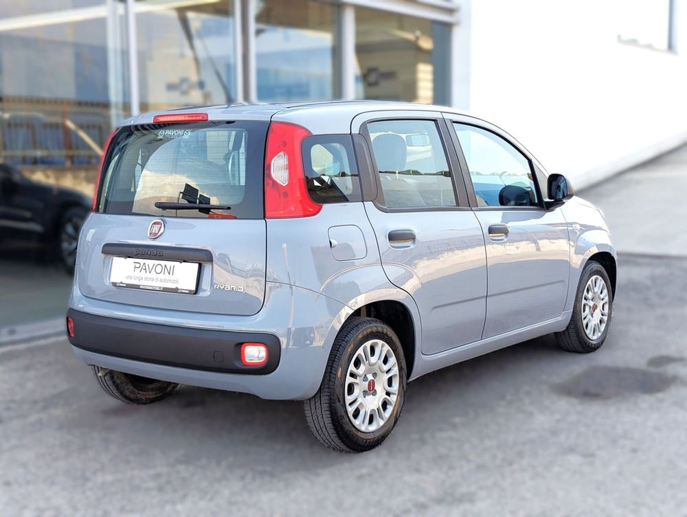 Fiat Panda usata a Pescara (4)