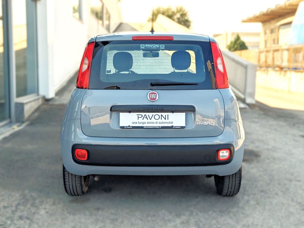 Fiat Panda usata a Pescara (5)
