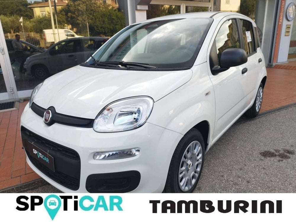 Fiat Panda nuova a Arezzo