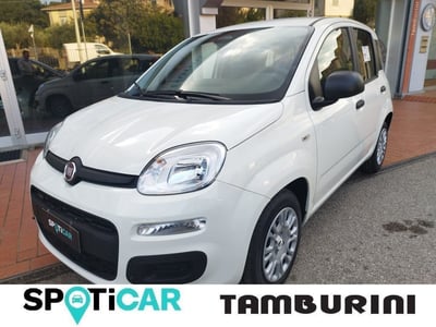 Fiat Panda 1.0 FireFly S&amp;S Hybrid City Cross nuova a Cortona