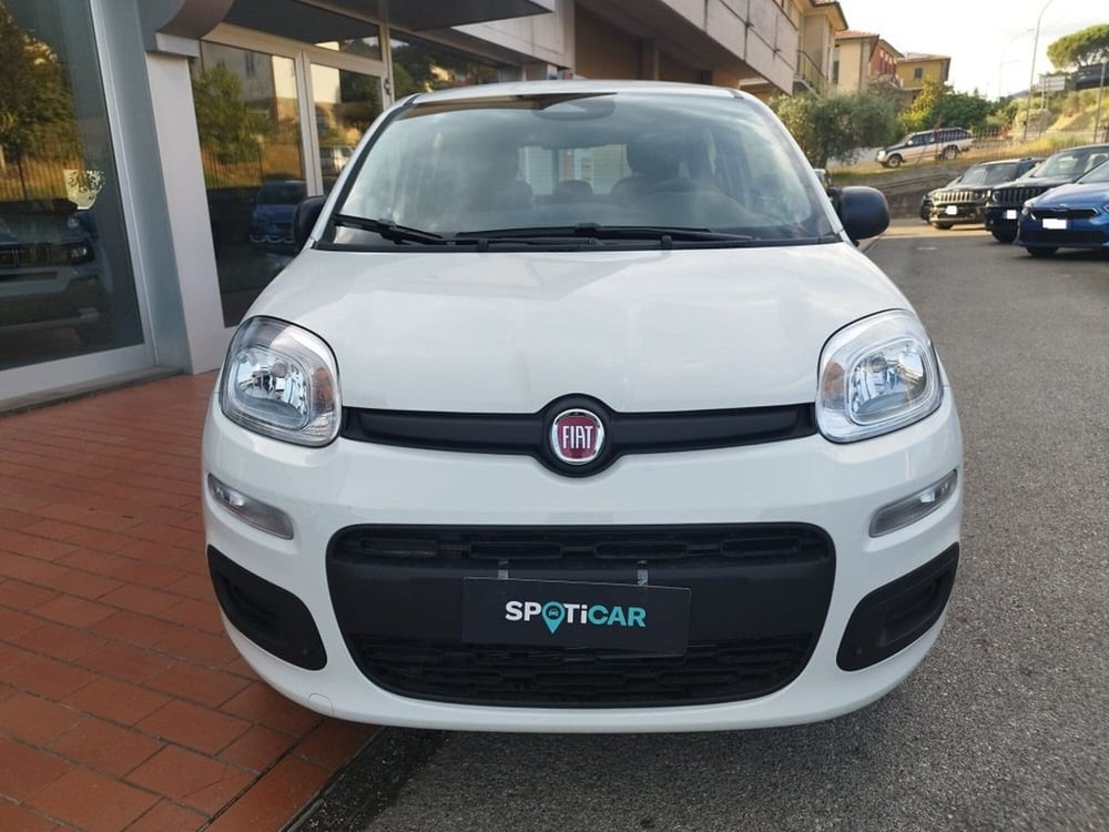 Fiat Panda nuova a Arezzo (2)