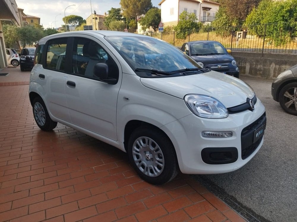 Fiat Panda nuova a Arezzo (3)