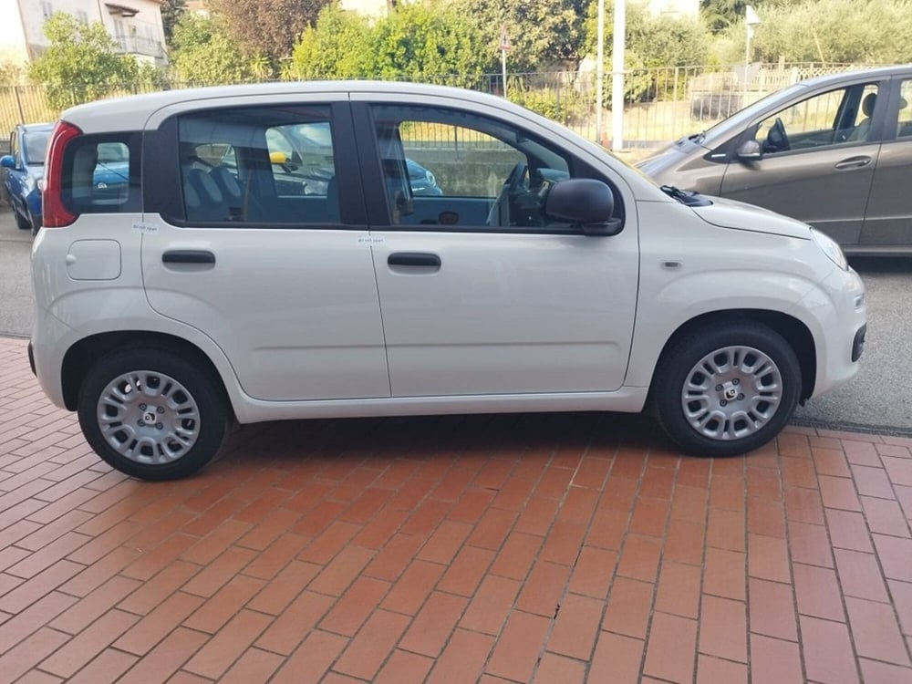 Fiat Panda nuova a Arezzo (4)