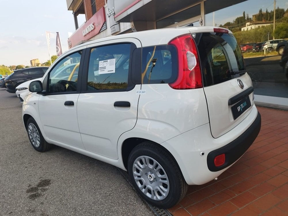 Fiat Panda nuova a Arezzo (5)