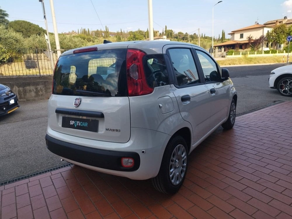 Fiat Panda nuova a Arezzo (6)