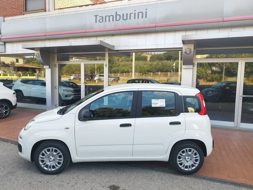 Fiat Panda nuova a Arezzo (7)