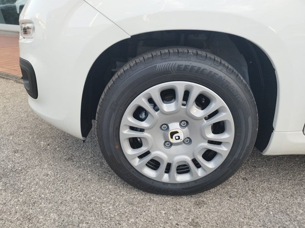 Fiat Panda nuova a Arezzo (9)