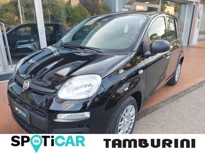 Fiat Panda 1.0 FireFly S&amp;S Hybrid City Cross nuova a Cortona