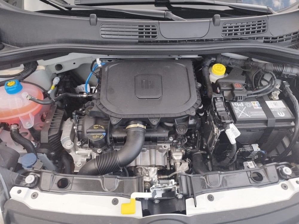 Fiat Panda nuova a Arezzo (11)