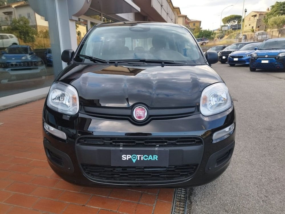 Fiat Panda nuova a Arezzo (2)