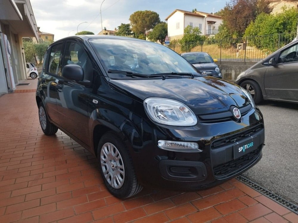 Fiat Panda nuova a Arezzo (3)