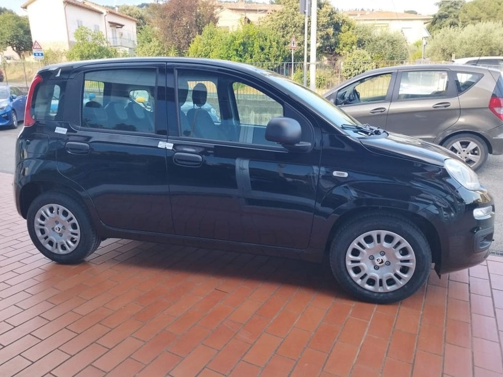 Fiat Panda nuova a Arezzo (4)