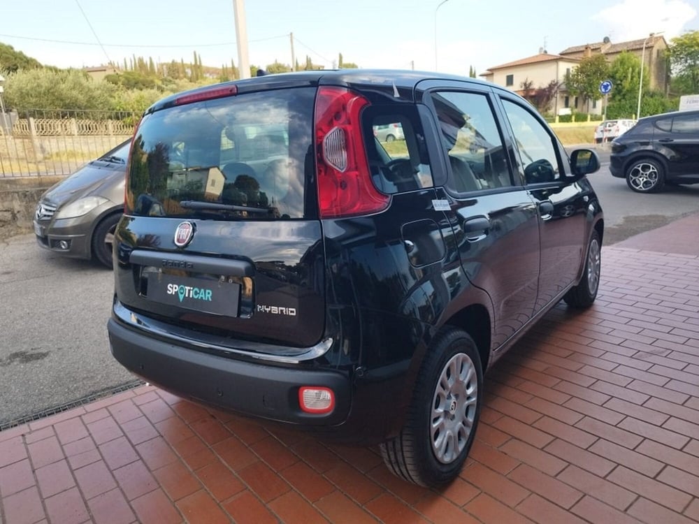 Fiat Panda nuova a Arezzo (5)
