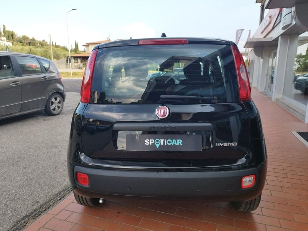 Fiat Panda nuova a Arezzo (6)