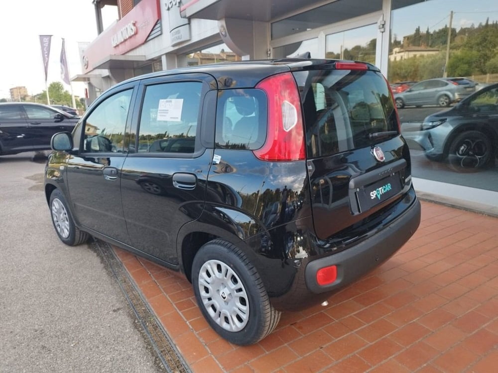 Fiat Panda nuova a Arezzo (7)