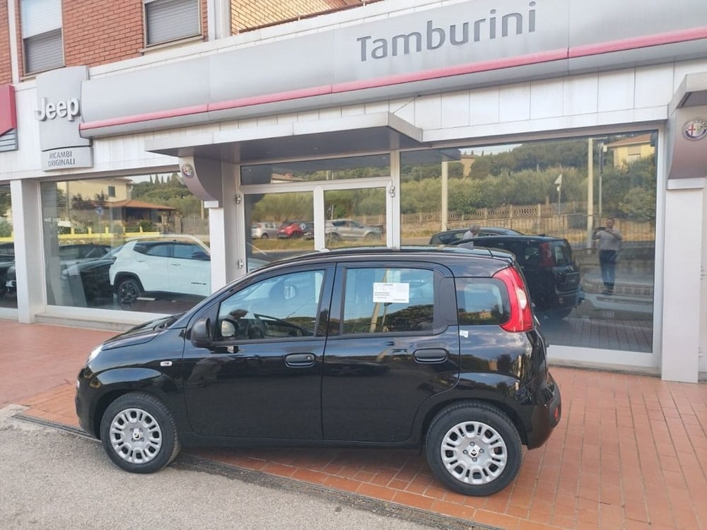 Fiat Panda nuova a Arezzo (8)