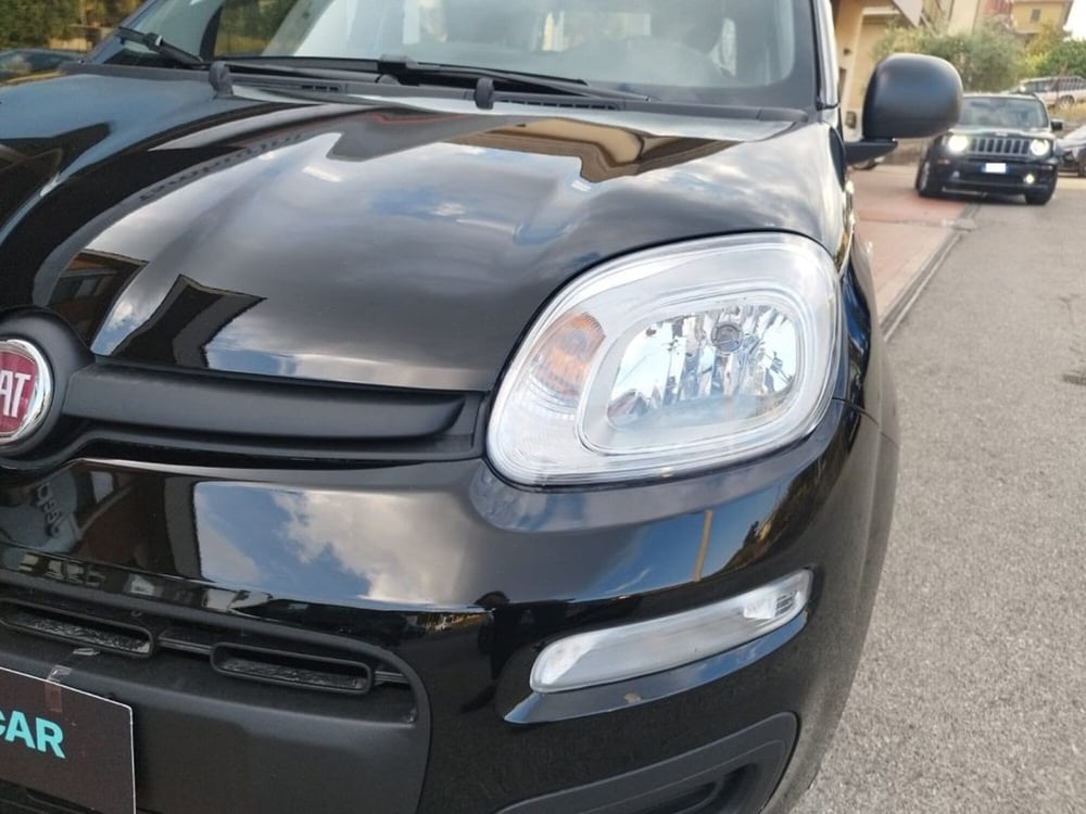 Fiat Panda nuova a Arezzo (9)