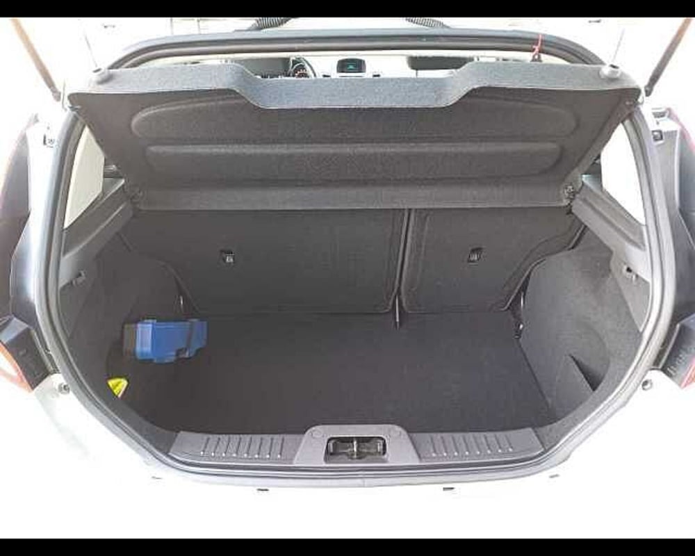 Ford Fiesta usata a Venezia (15)