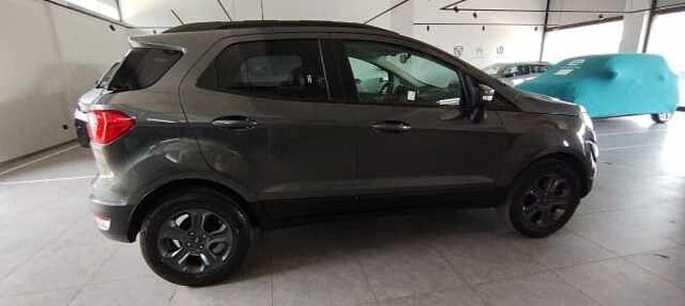 Ford EcoSport usata a Viterbo (4)